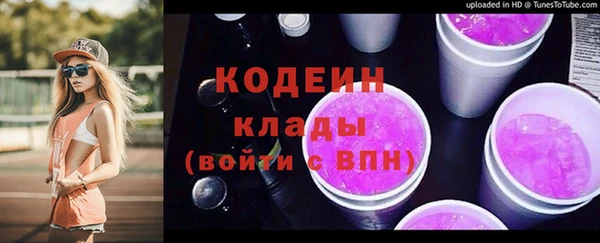 эйфоретик Галич