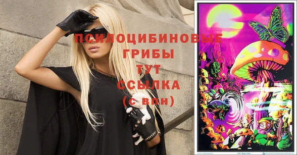 мдма Гвардейск