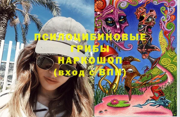 дживик Гатчина