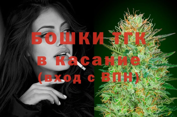 эйфоретик Галич