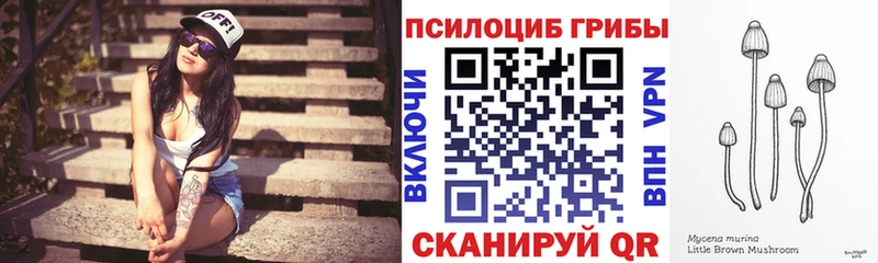 Галлюциногенные грибы Psilocybine cubensis Артёмовский