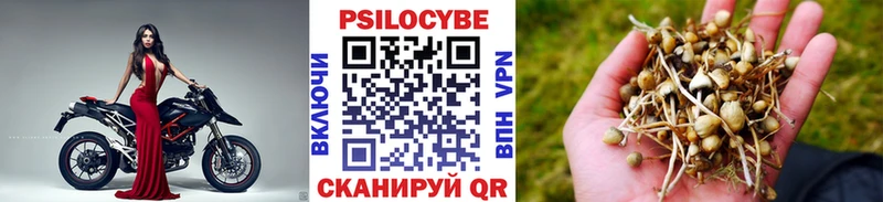 Псилоцибиновые грибы GOLDEN TEACHER  цена   Артёмовский 